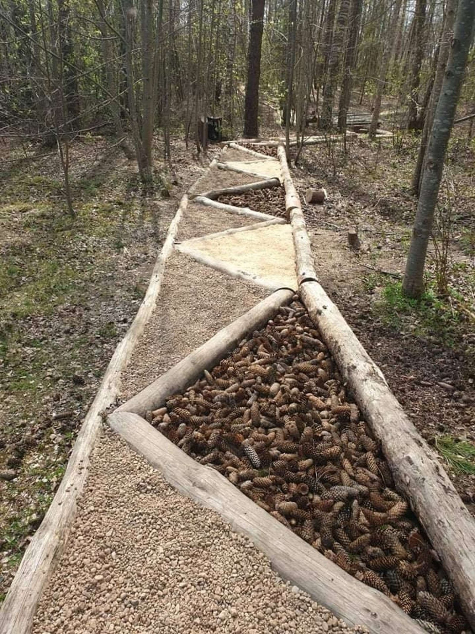 Anykščiai forest eco barefoot trail