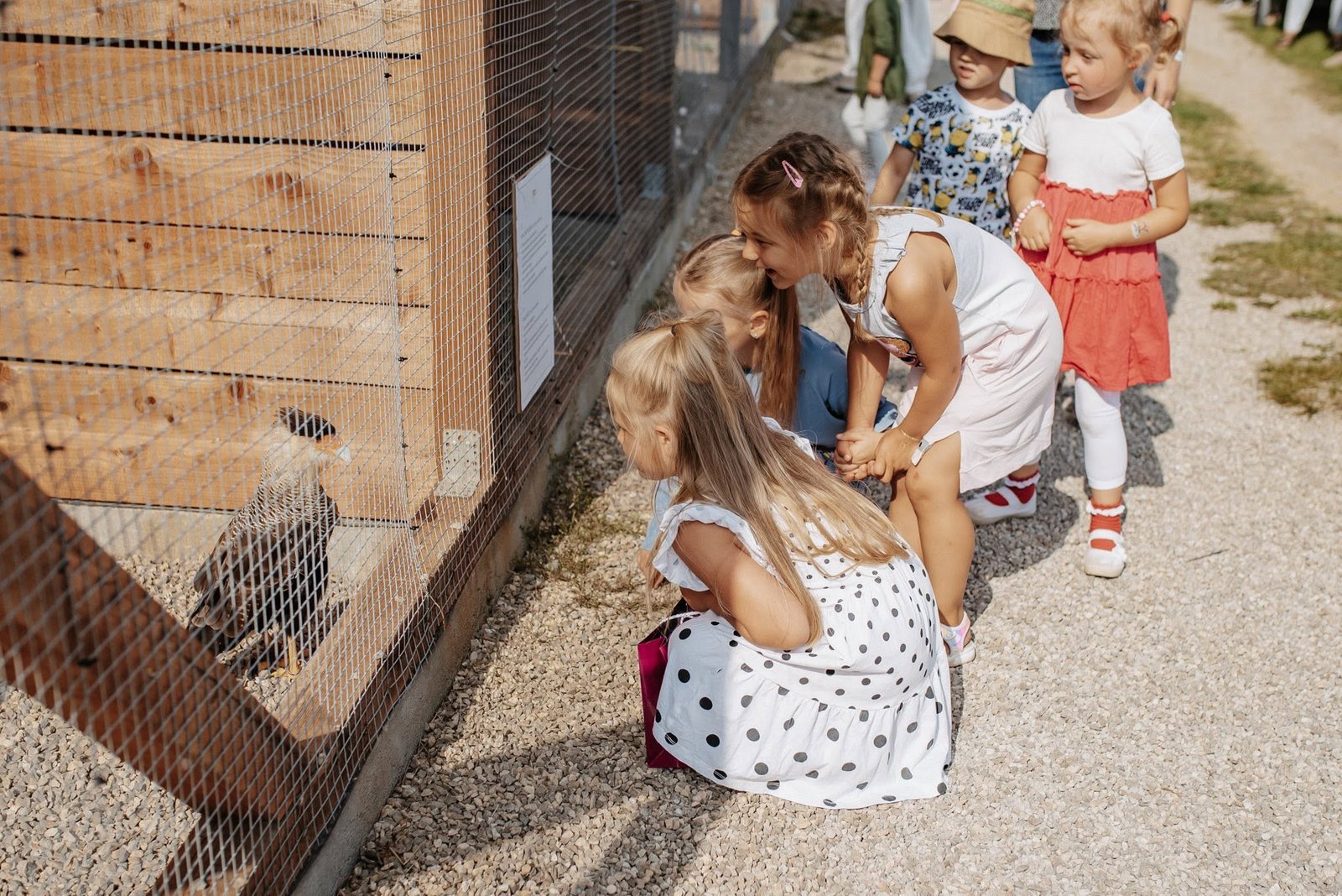 Animals at Pakruojis Manor