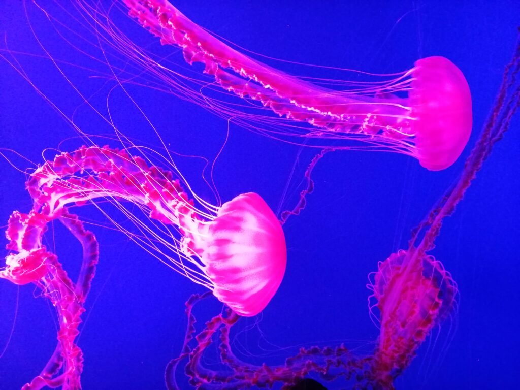 Travel with kids: aquariums in Europe you must visit