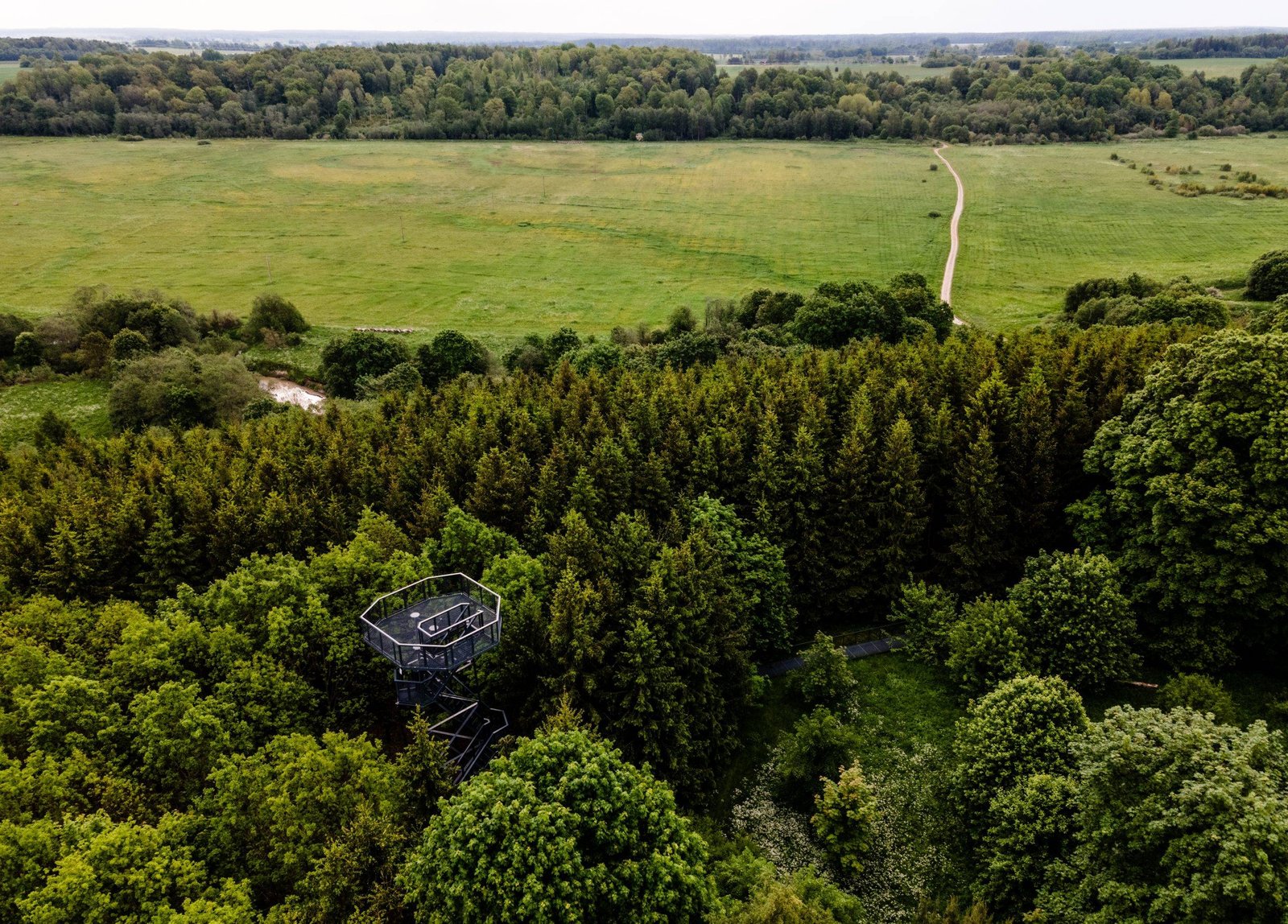 Kalnalis observation tower (Photo: Karolis Bakūnas)