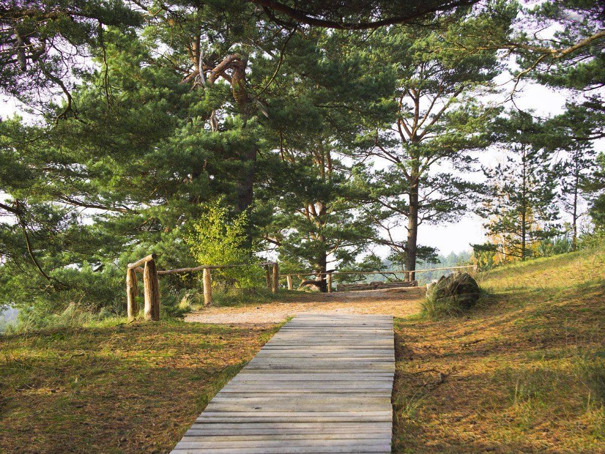 Observation deck on Avikalnis
