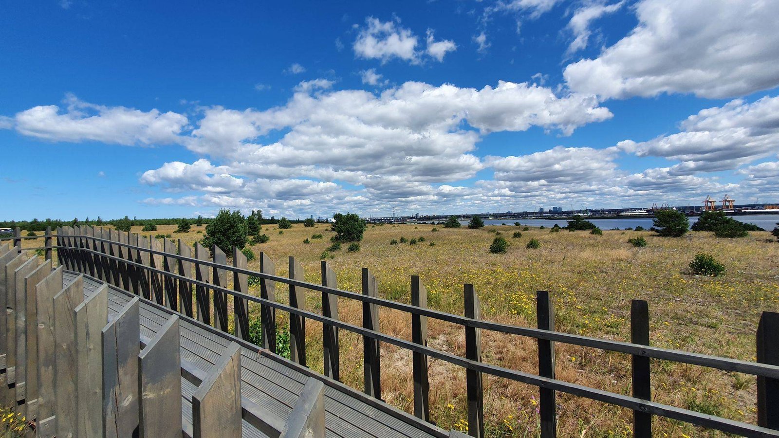 Bear's head dune viewpoint