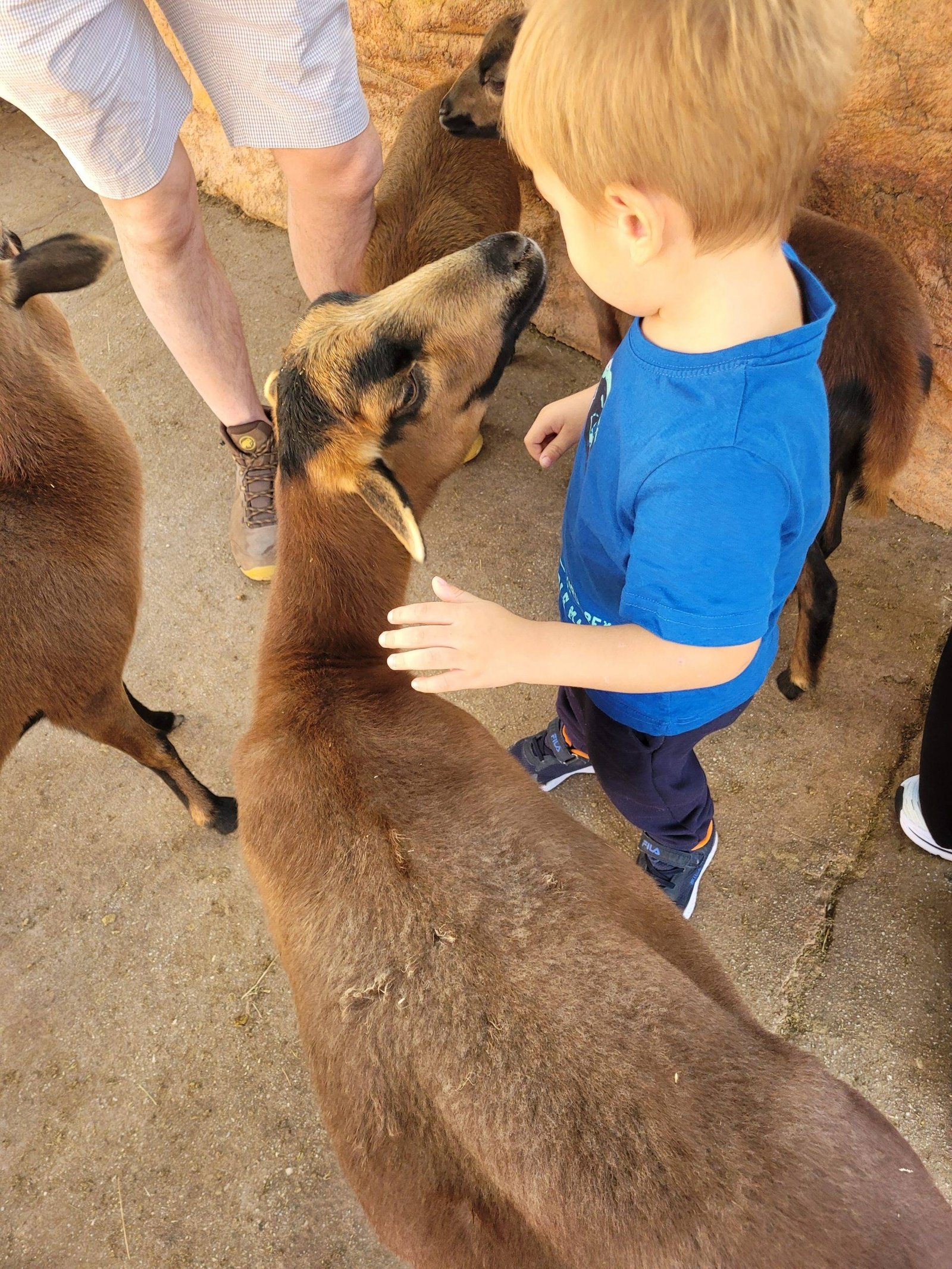 Greece Zoological Park with kids