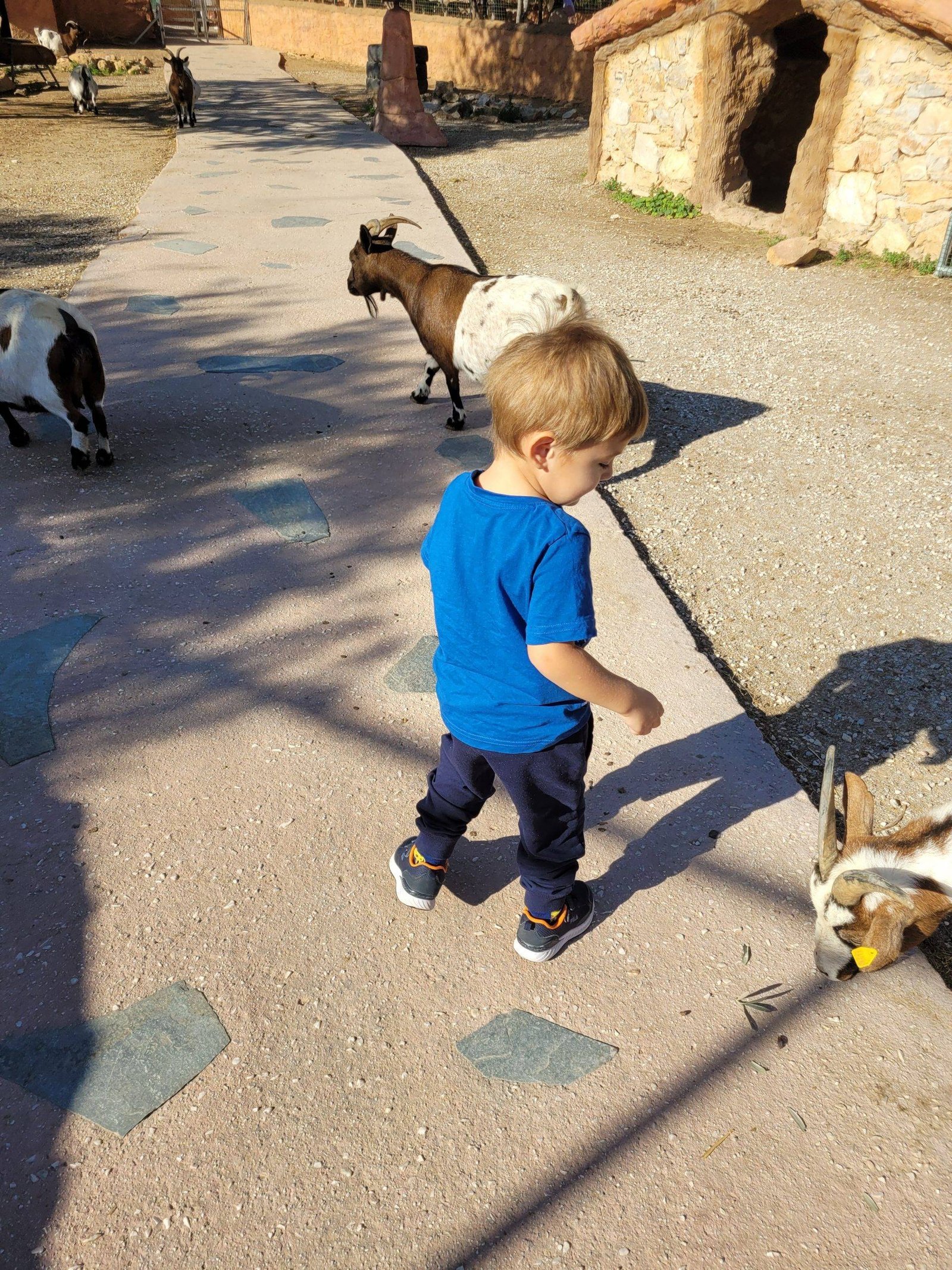 Greece Zoological Park with kids