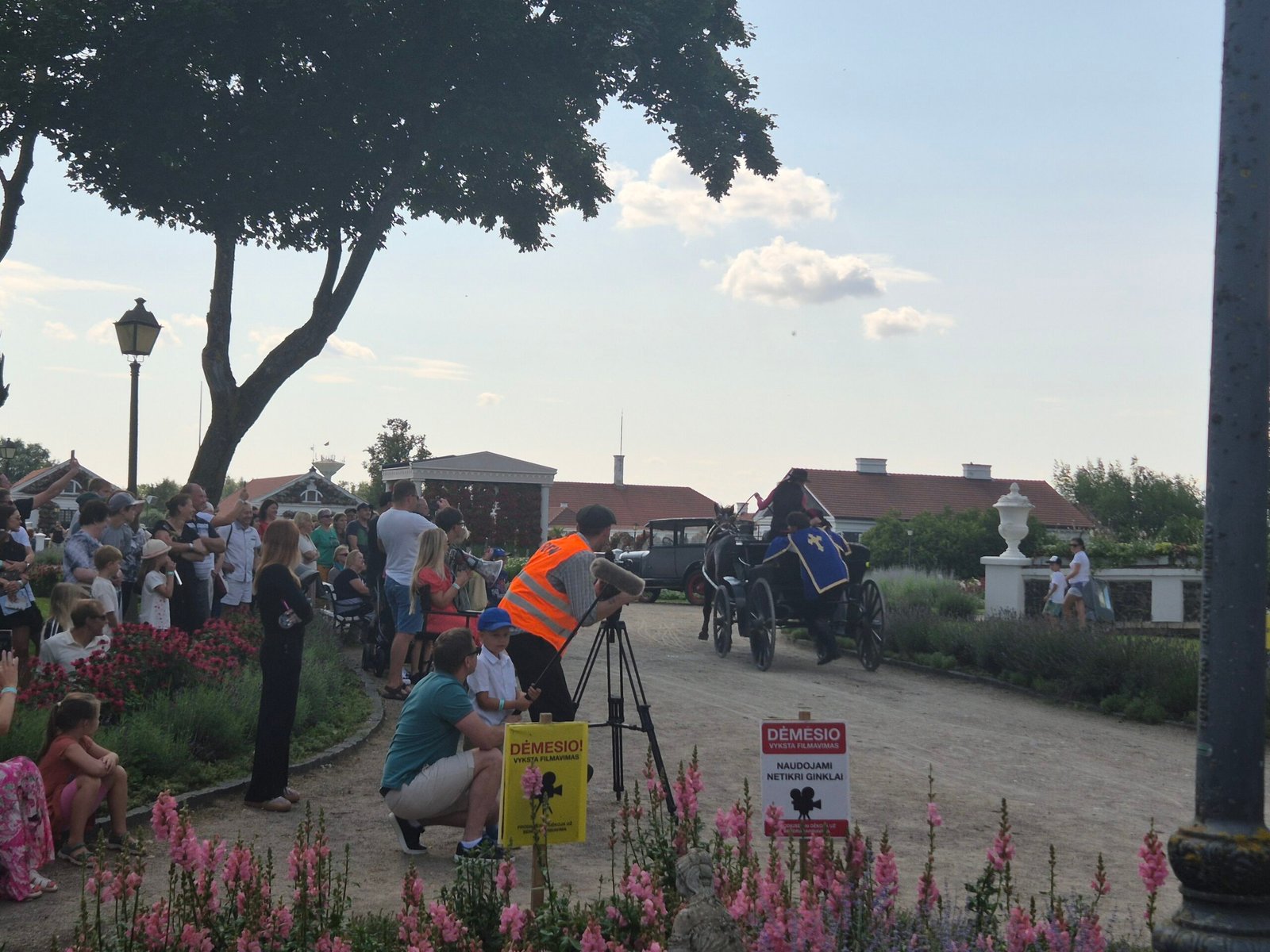 Festival of Flowers and Cinema Stars