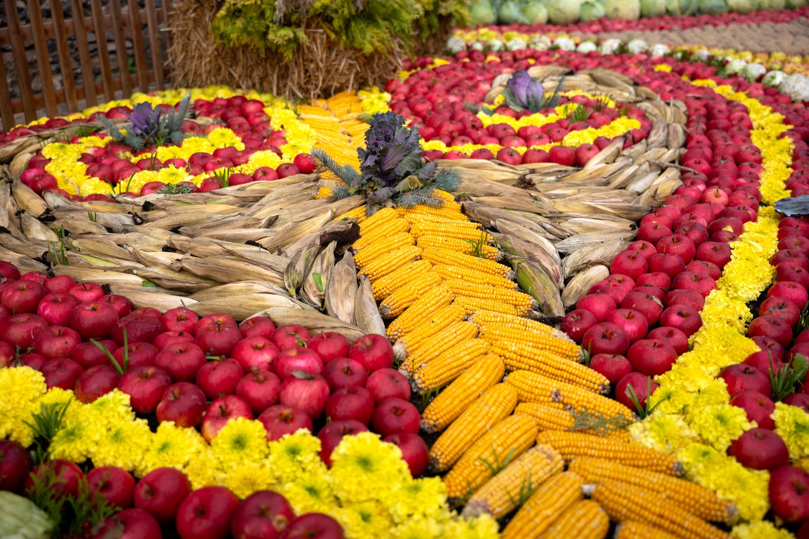 Autumn harvest turned into Baroque at Pakruojis Manor