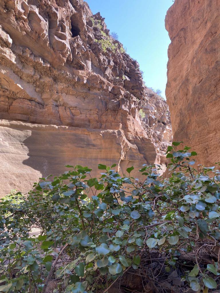 Barranco de las Vacas in Gran Canaria