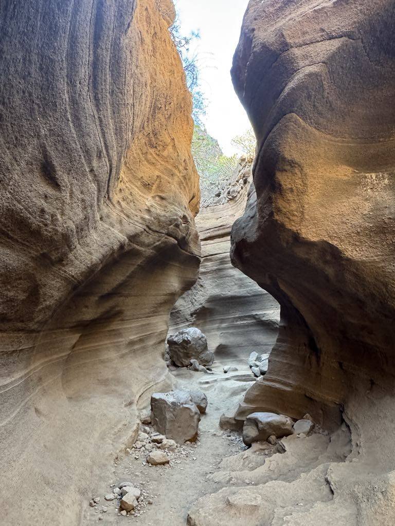 Gran Canaria Canyon