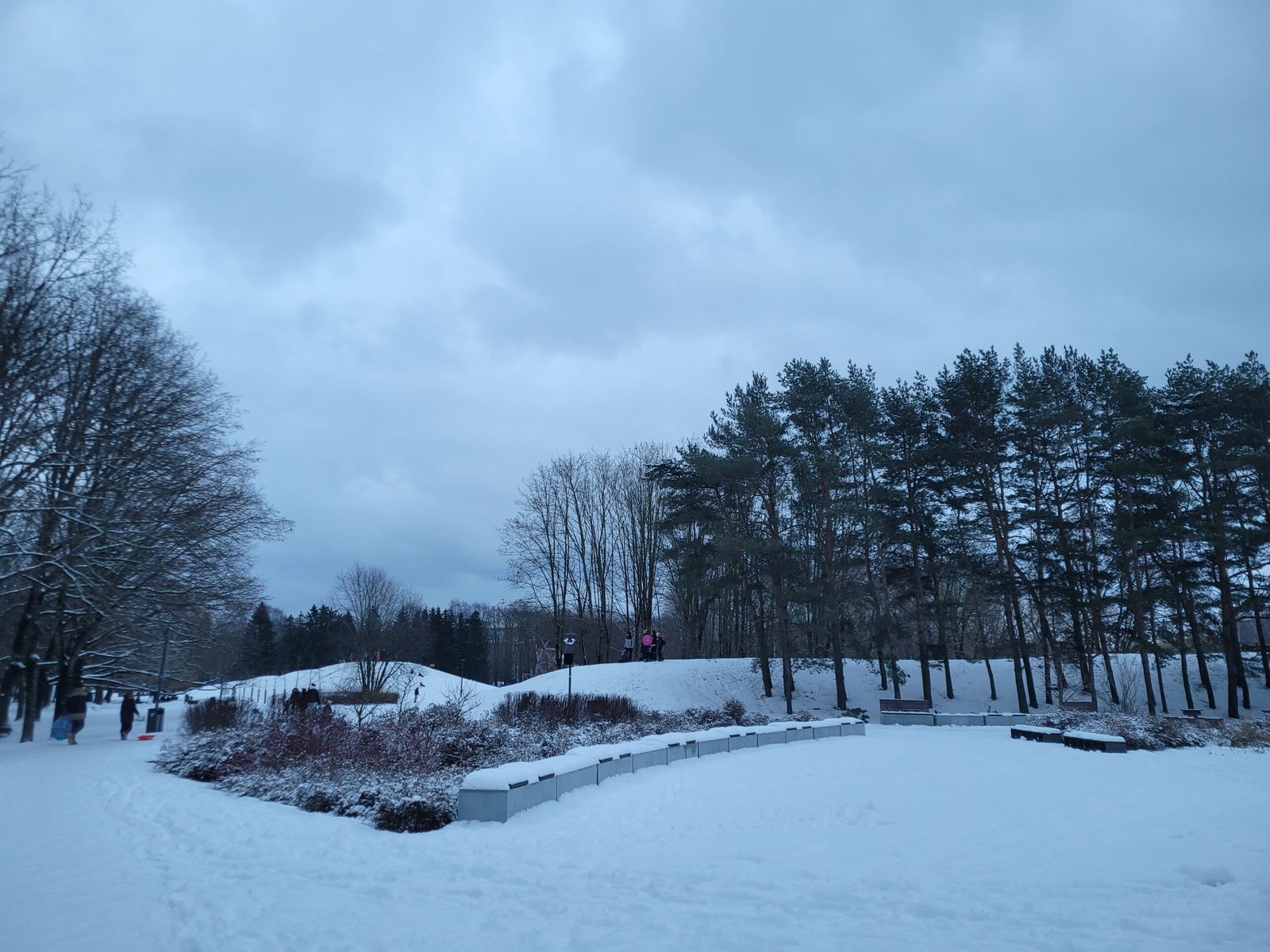 Winter activities in Draugystės park Kaunas