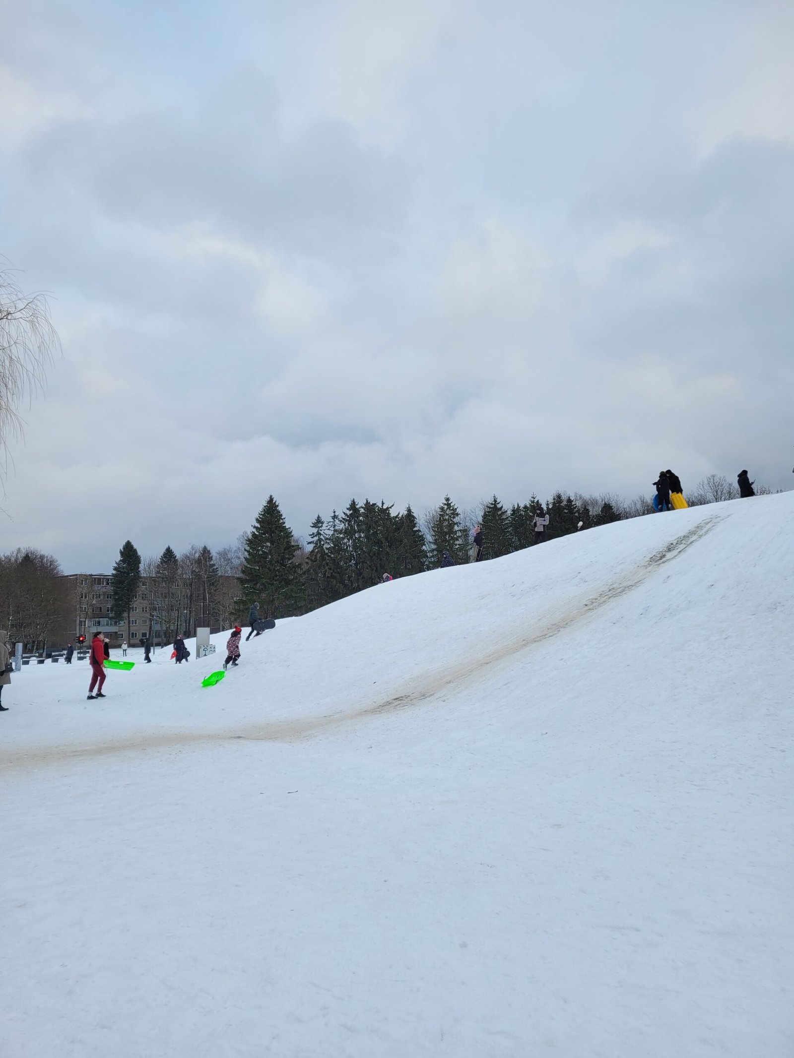 Where to go sledding with children in Kaunas