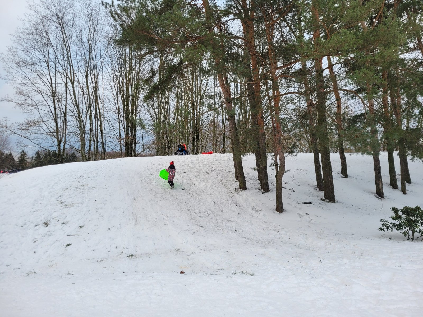 Winter activities in Kaunas: where to go sledding with children