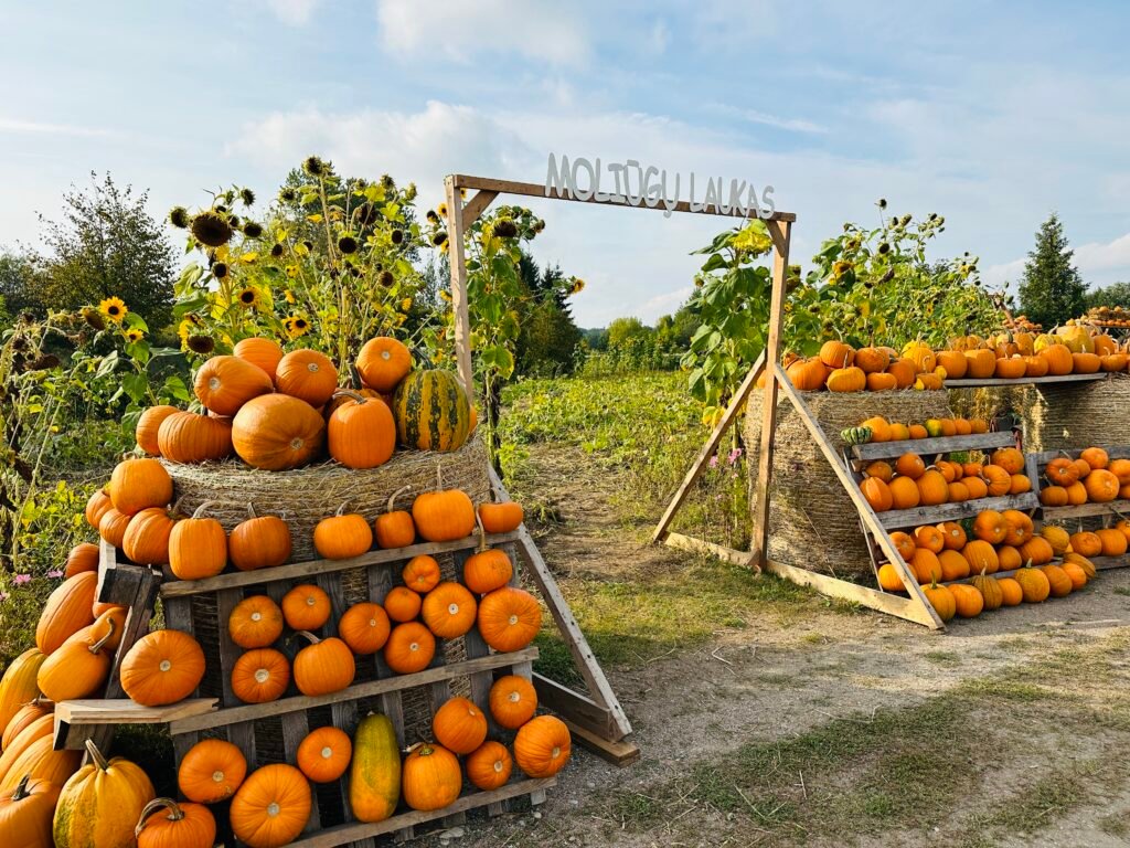 Dexter Farm