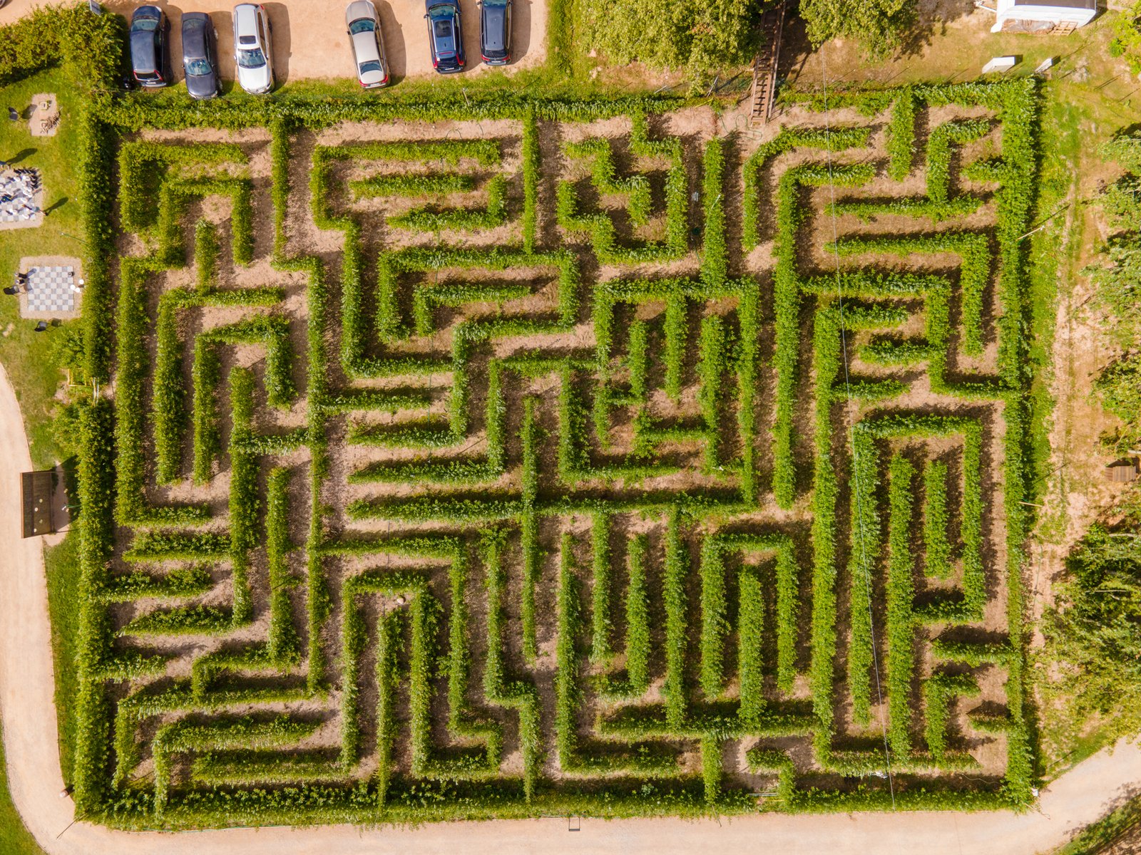 Great Willow maze at LABI park