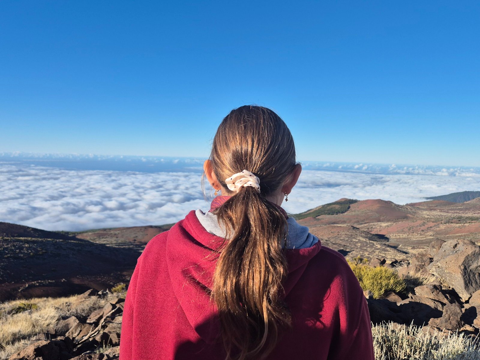 Free for children and impressive for adults: a tour of Teide Observatory in Tenerife