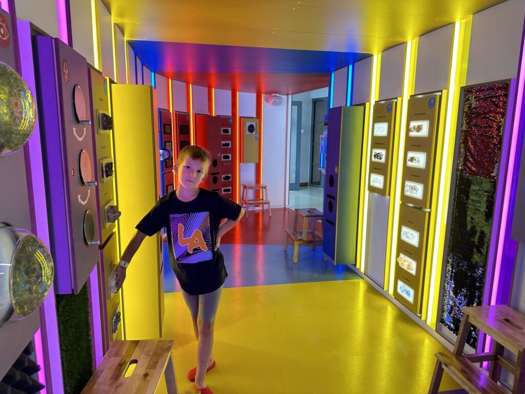 EC1 exhibition for children “Elements street” in Lodz