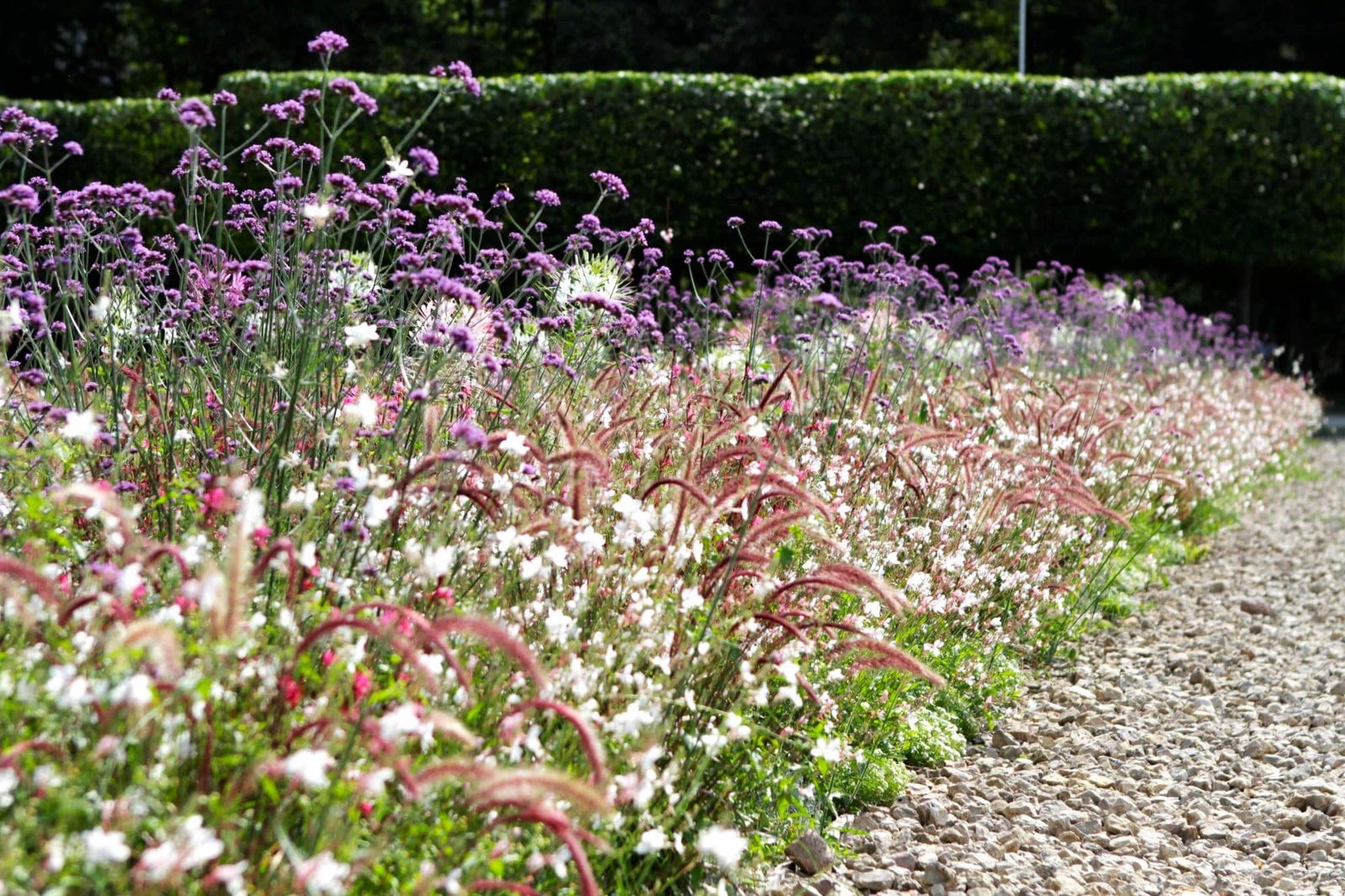 Lukiškės Square Annual Flowerbed (photo by Vaiva Maroziene)