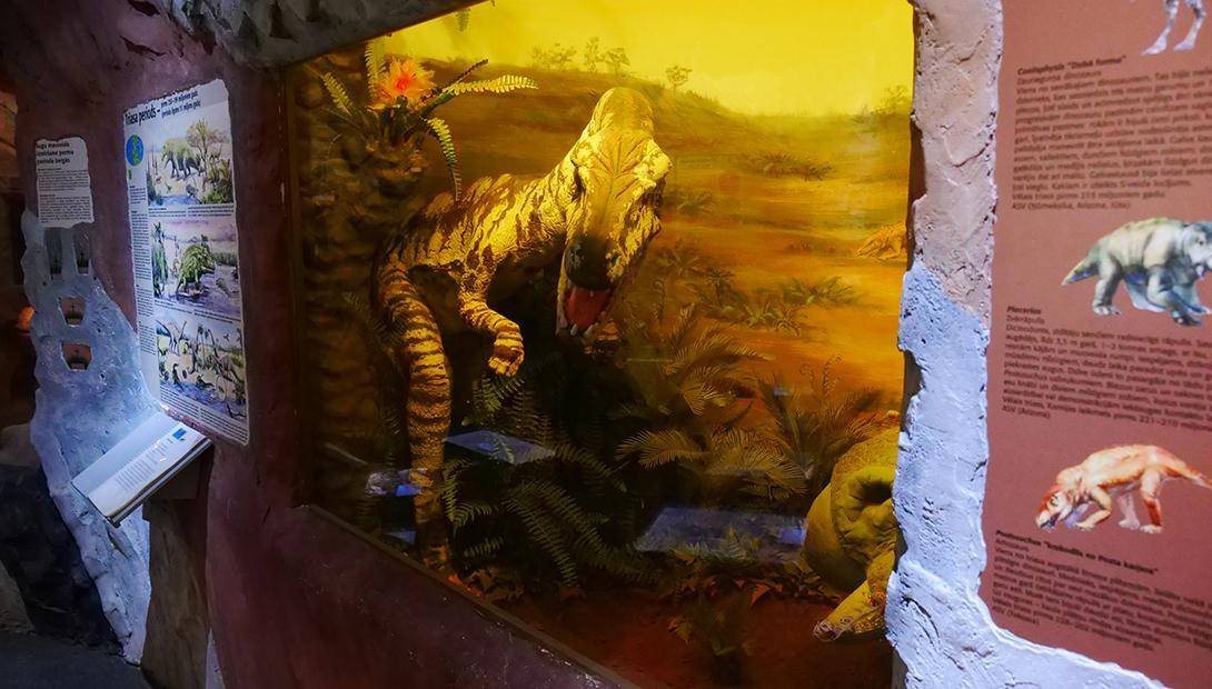 Latvian National Museum of Natural History in Riga