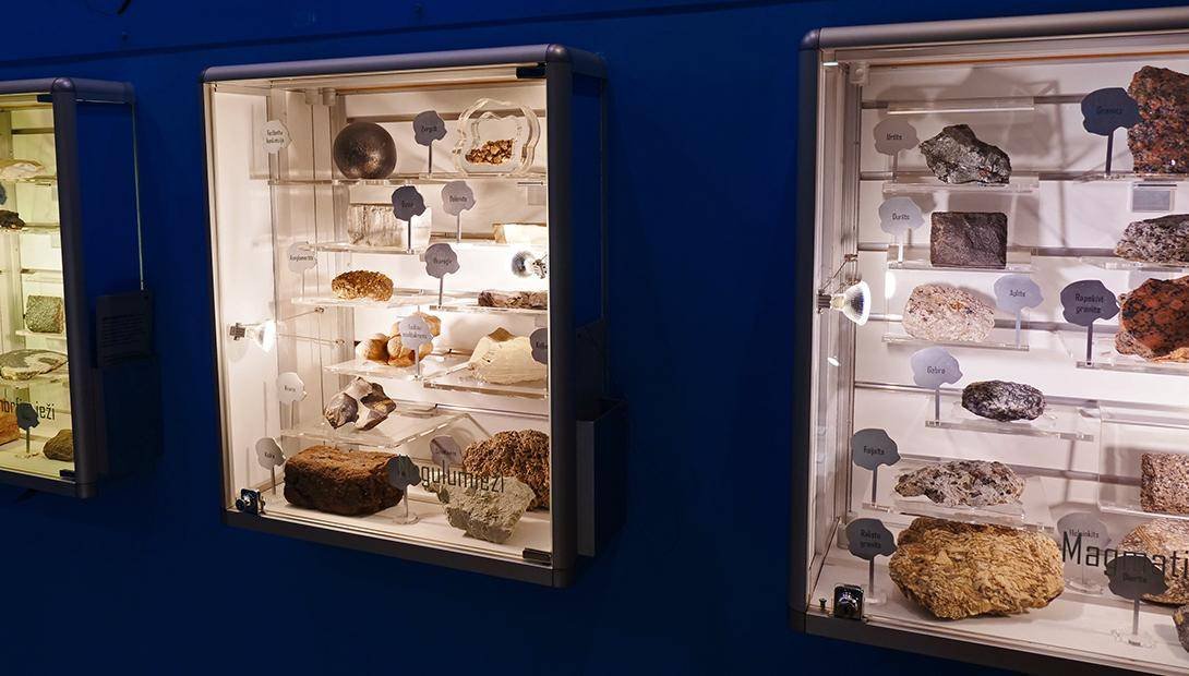 Latvian National Museum of Natural History in Riga