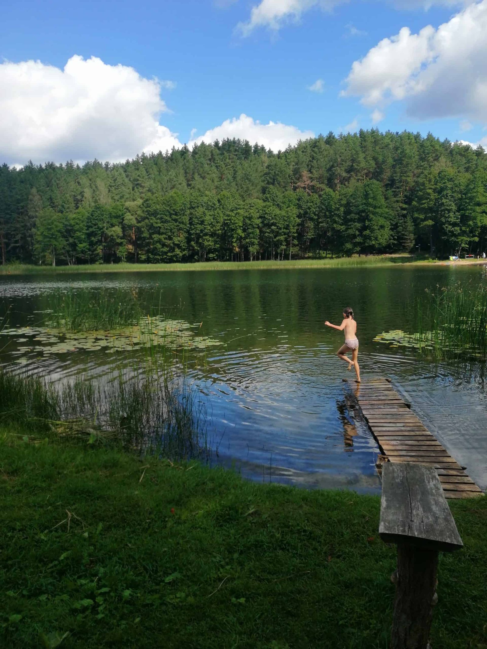 Palūšė beach