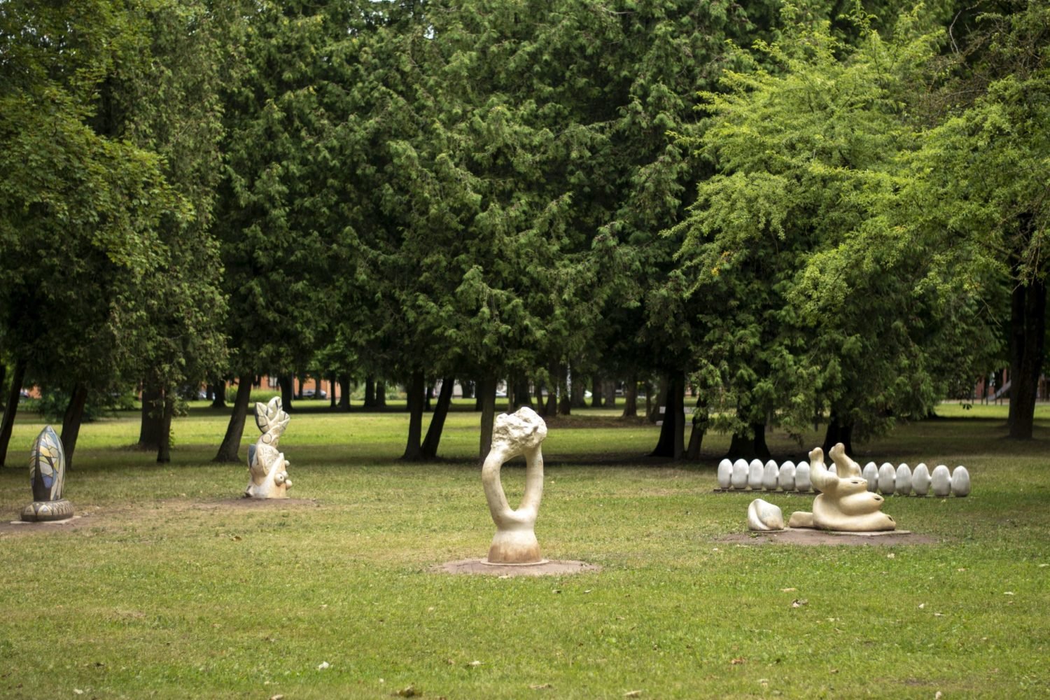Gyvapasakis. Photo by Asta Rimkūnienė. 2023