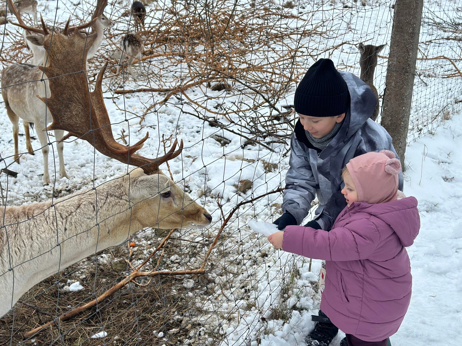 Arčiau gamtos Anykščiai