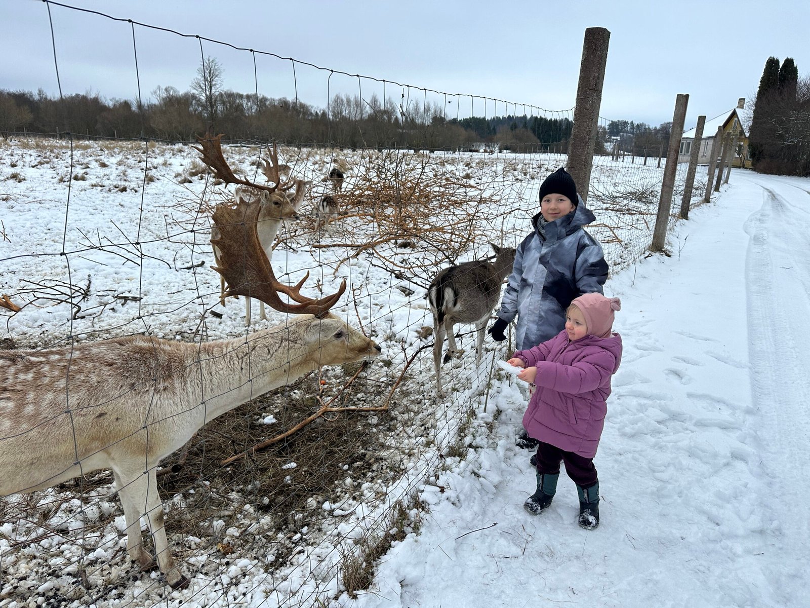 Arčiau gamtos Anykščiai