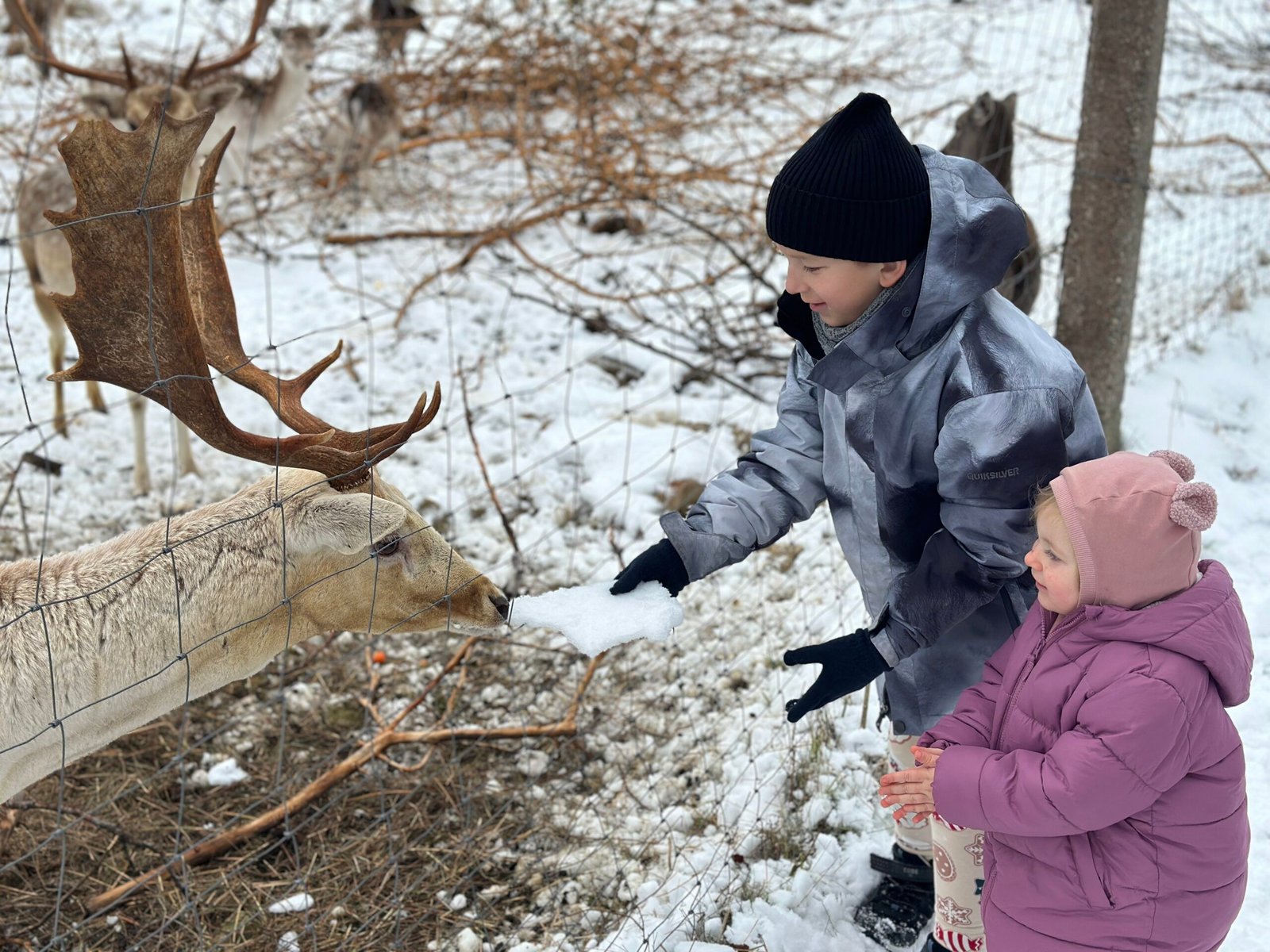Arčiau gamtos Anykščiai