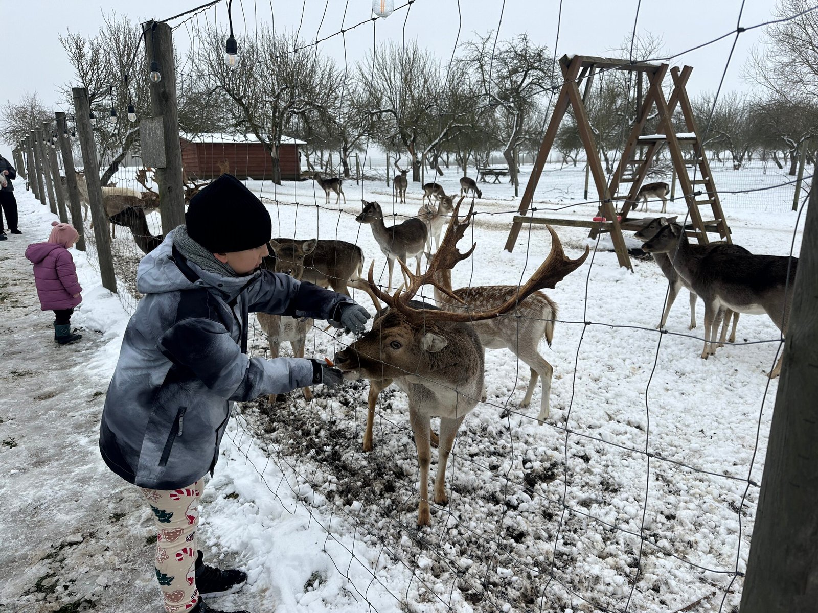 Bistrampolis manor farm in winter