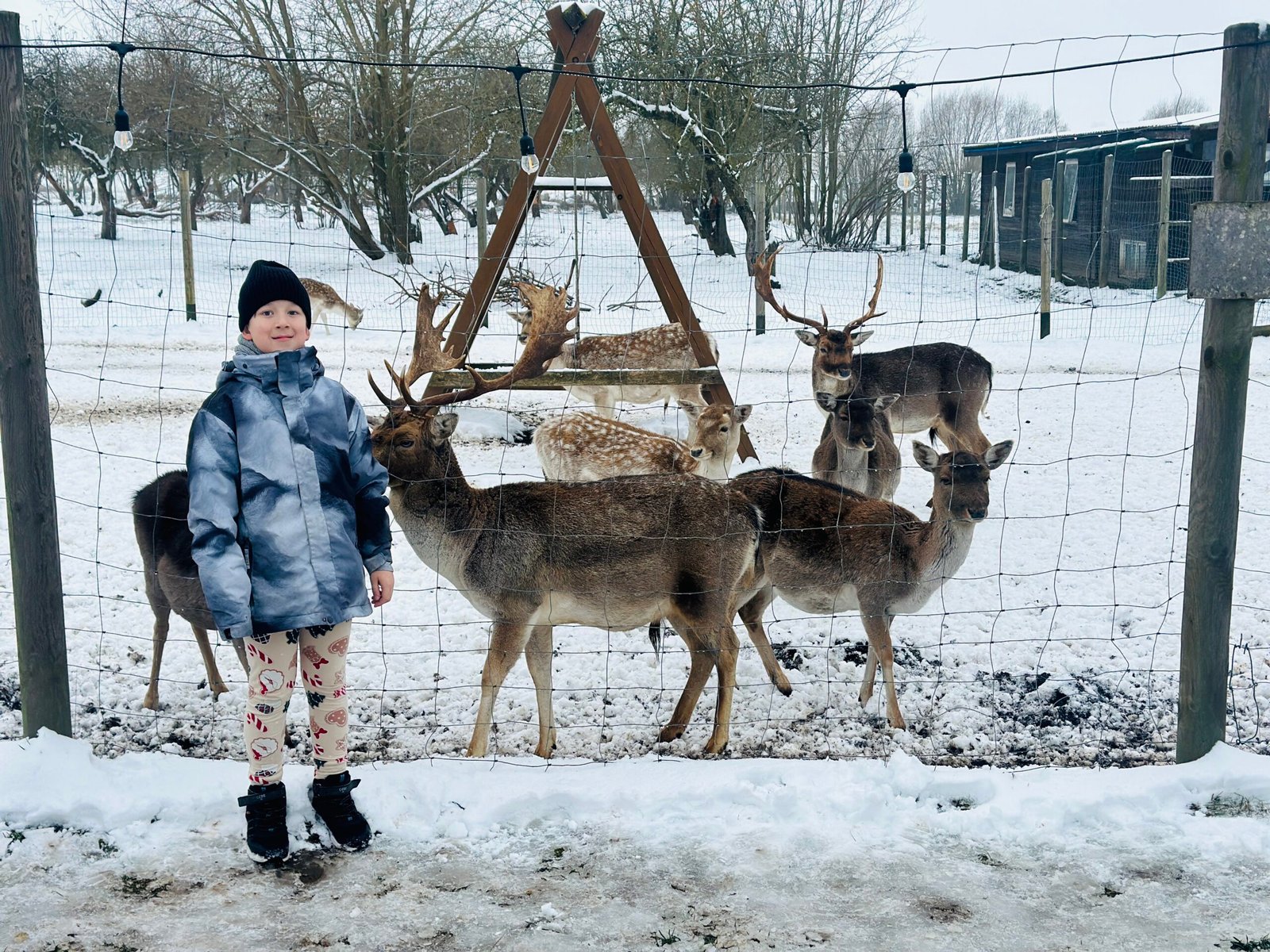 Bistrampolis manor farm in winter