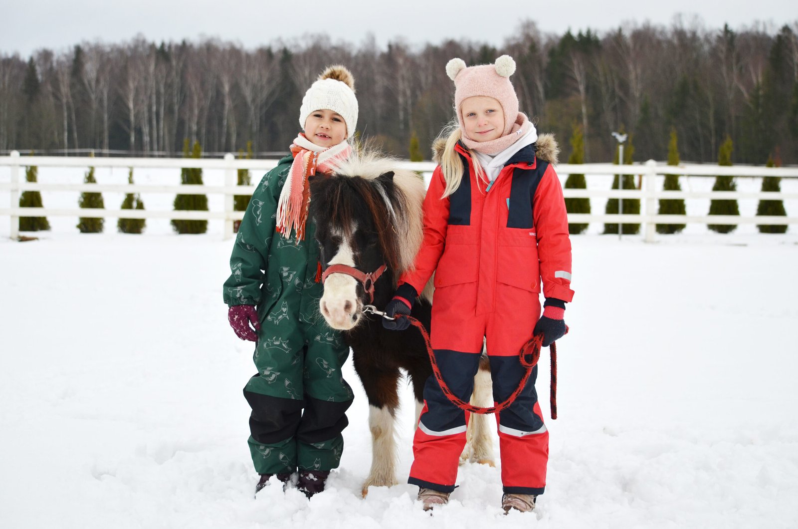 Margas Ponis in winter