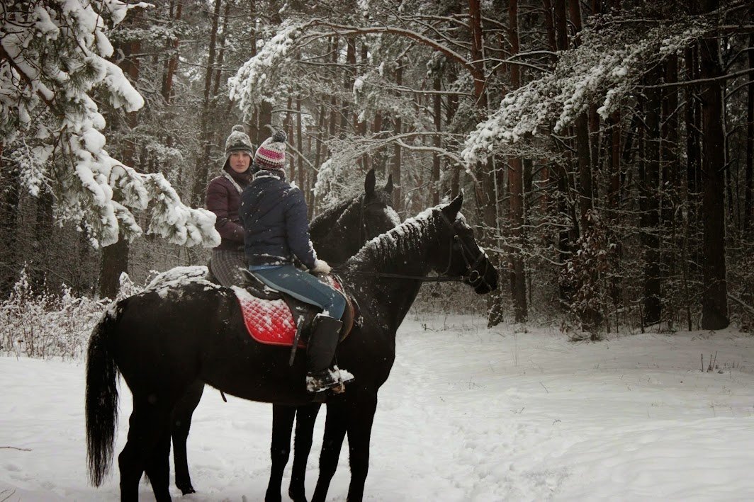 Molainiai stud farm, Panevėžys district
