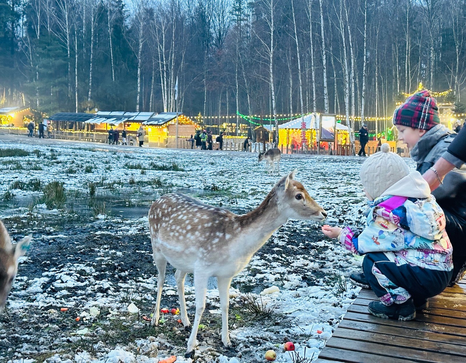 Perliniai danieliai park in winter