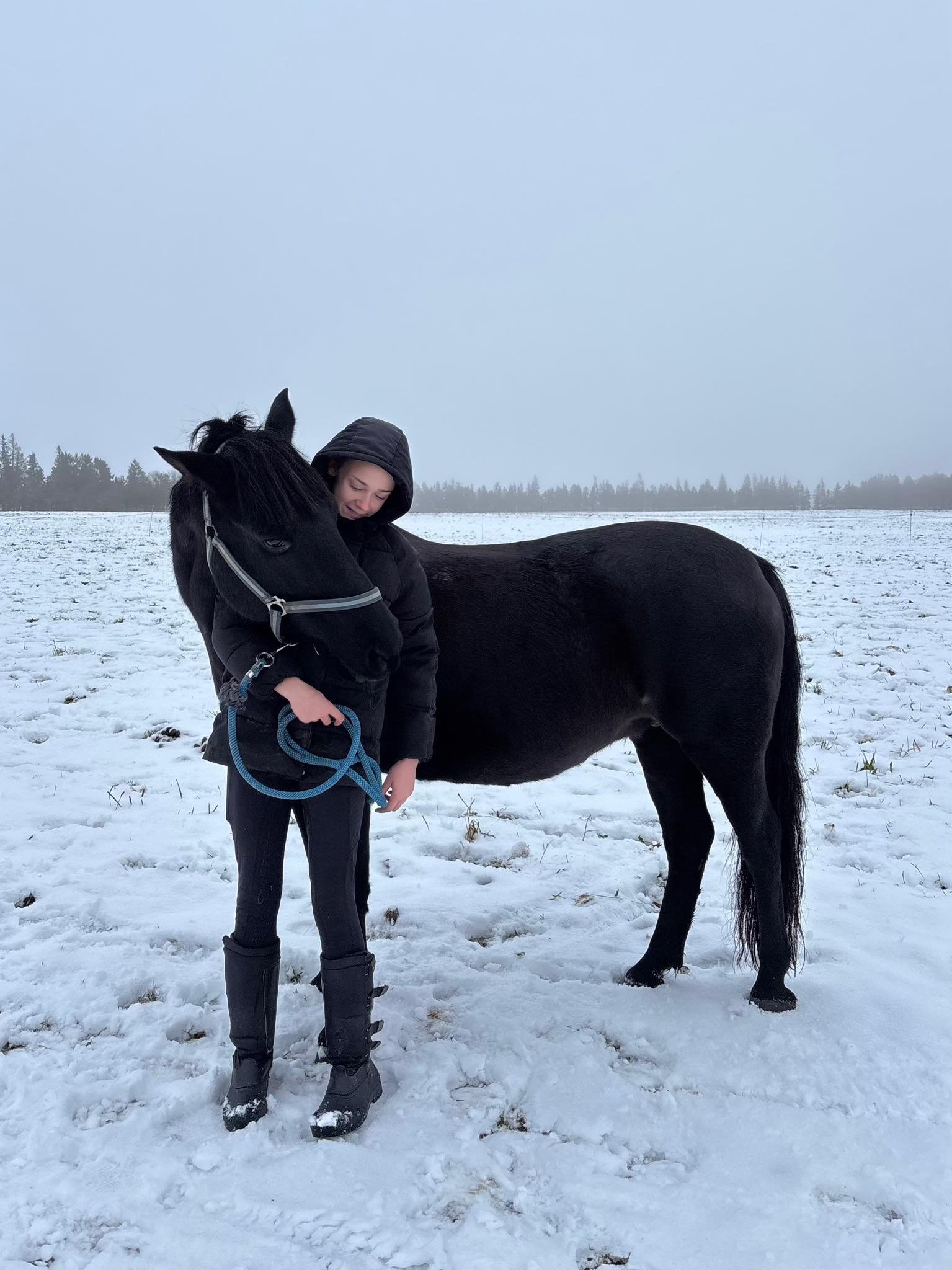 Rietavas stud farm in winter