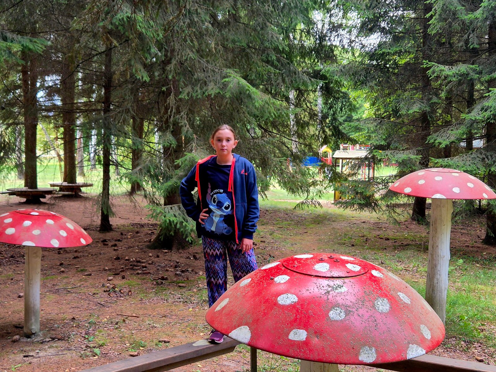 Harmony Park playgrounds