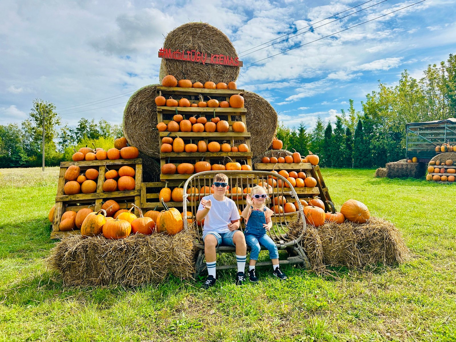 The largest free pumpkin park in Lithuania returns