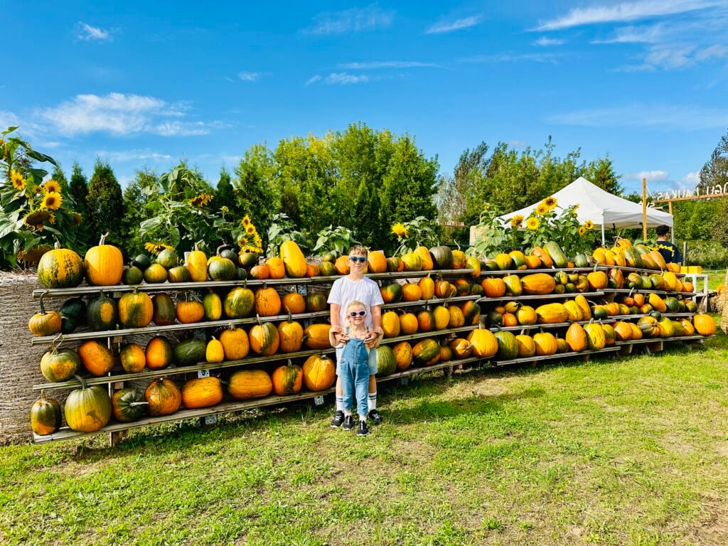 Most Instagrammable autumn spot is now open for the 2026 season