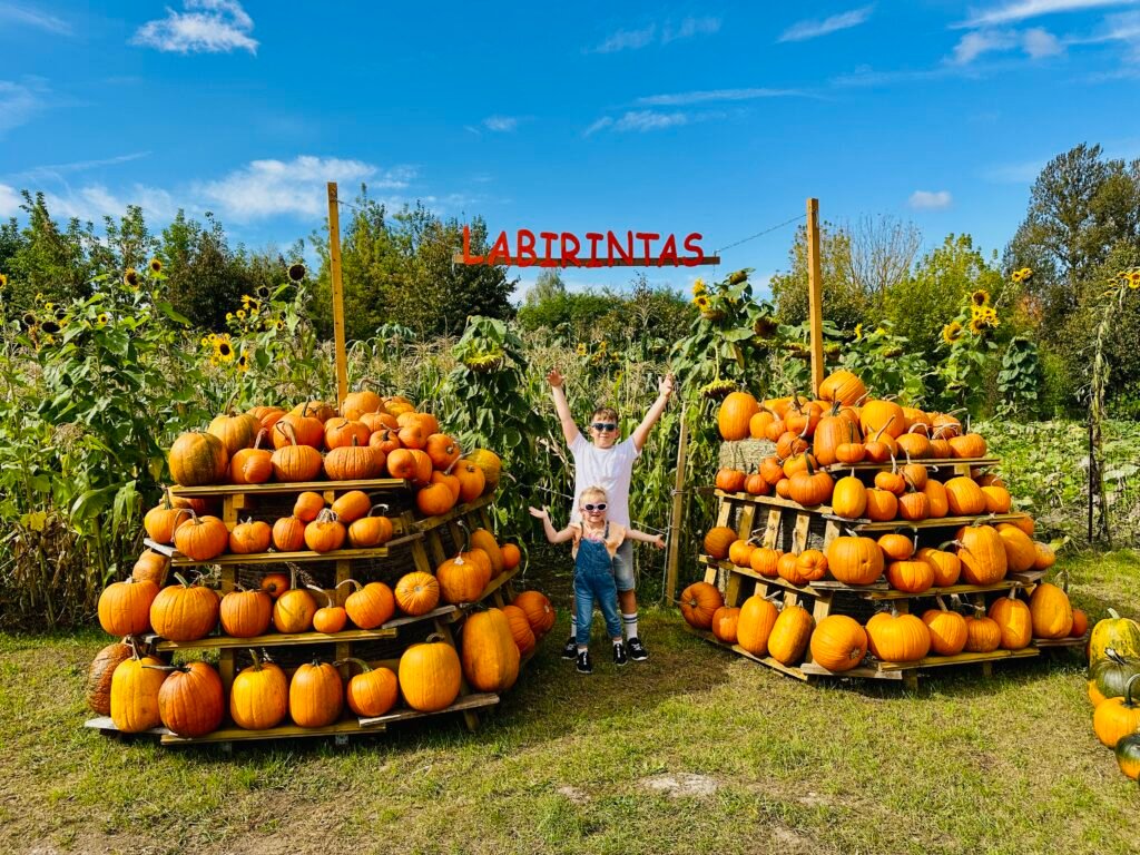 Largest free pumpkin park in Lithuania