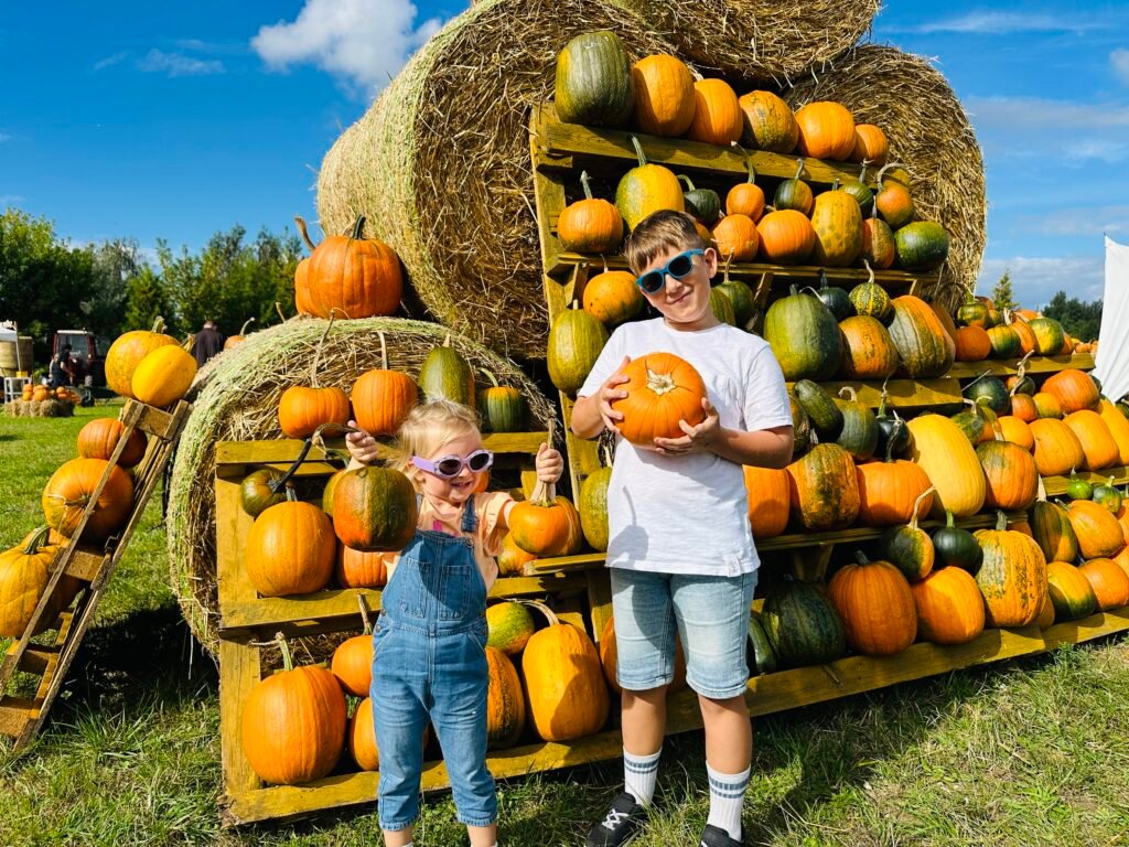 Dexter Farm