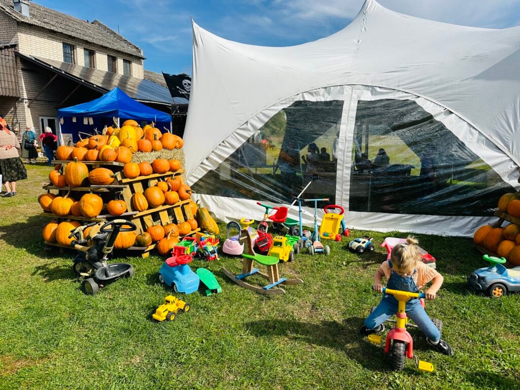 The largest free pumpkin park in Lithuania returns