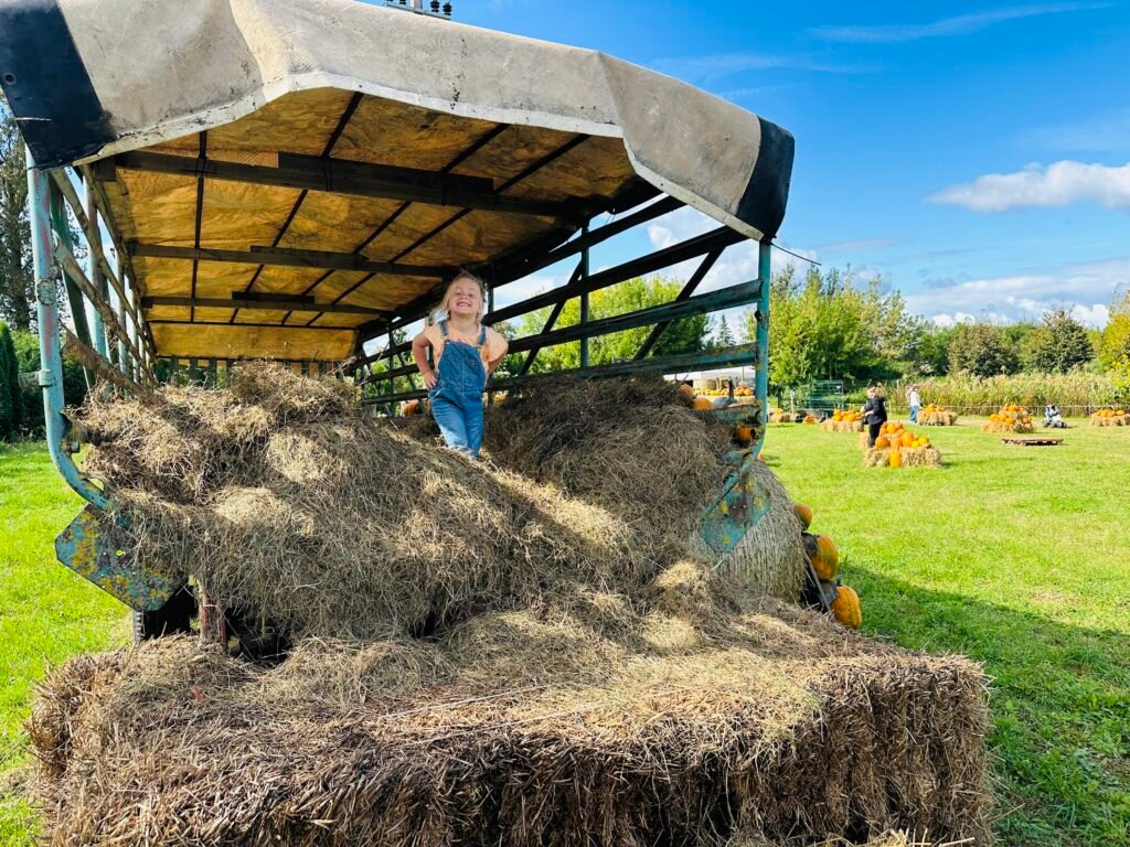 Dexter Farm
