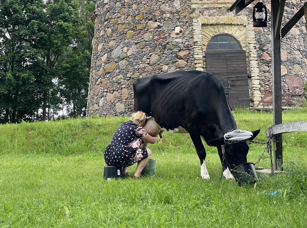 Pakruojis Manor and its living farm