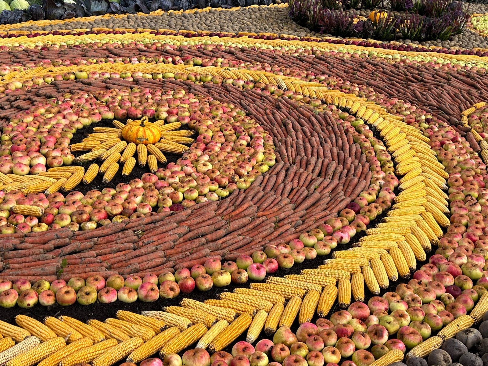 80 tons of harvest turned into Baroque autumn
