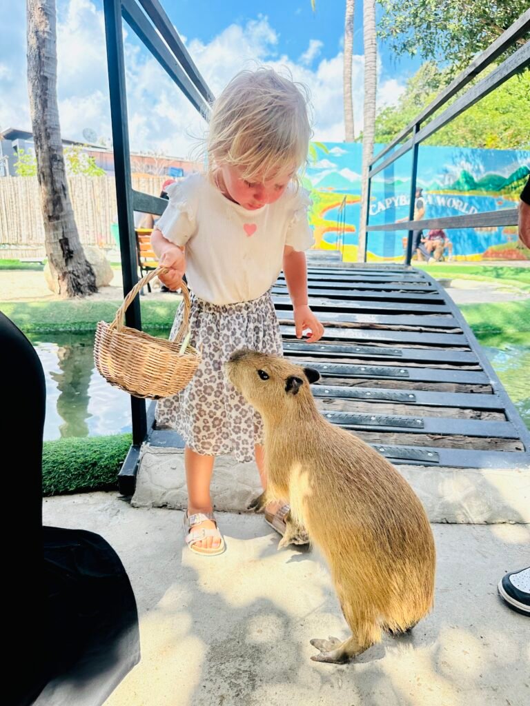 Koh Samui with children