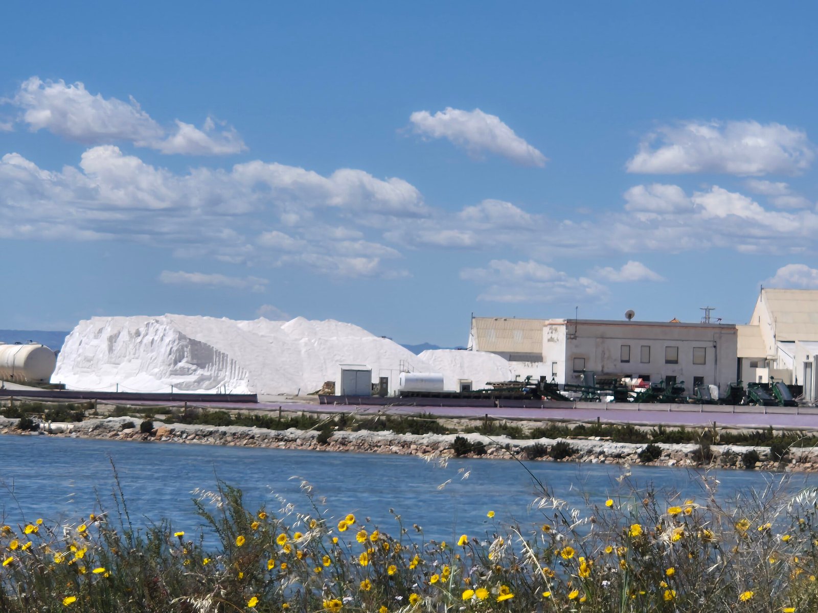 Salt lakes with flamingos