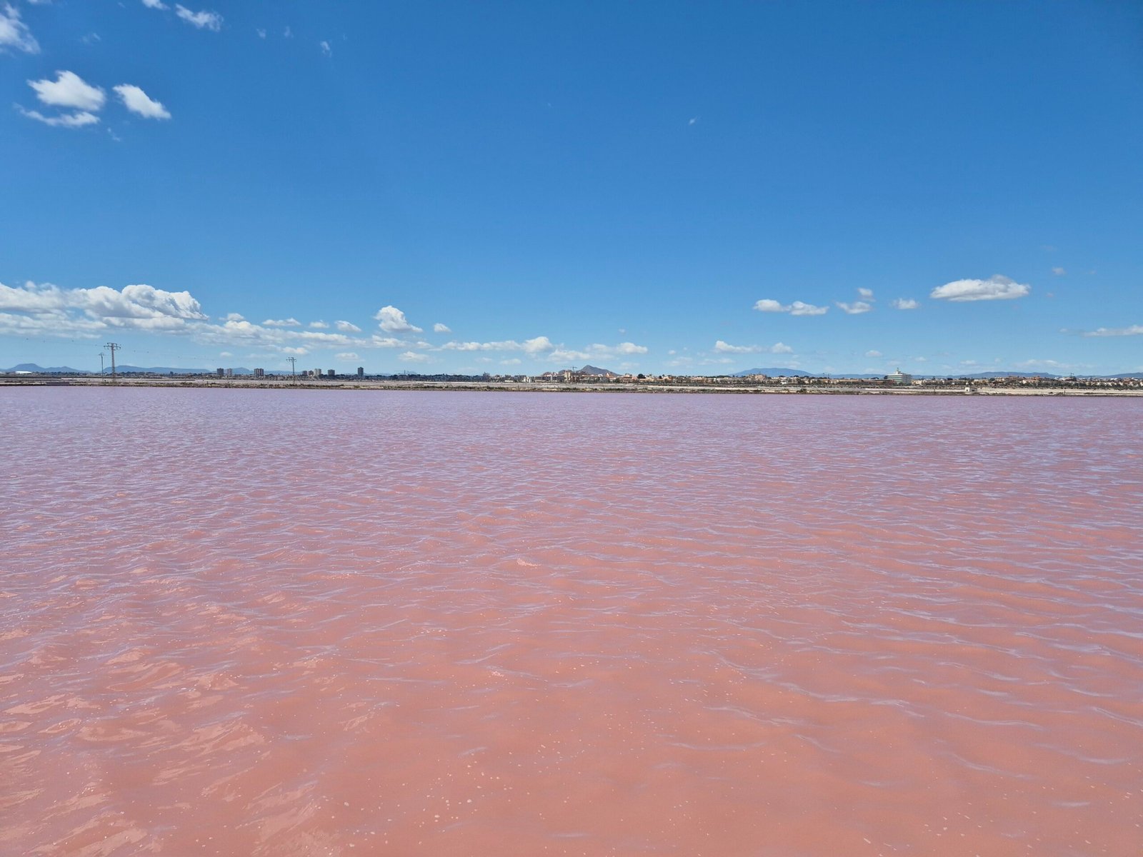 Salinas de San Pedro del Pinatar