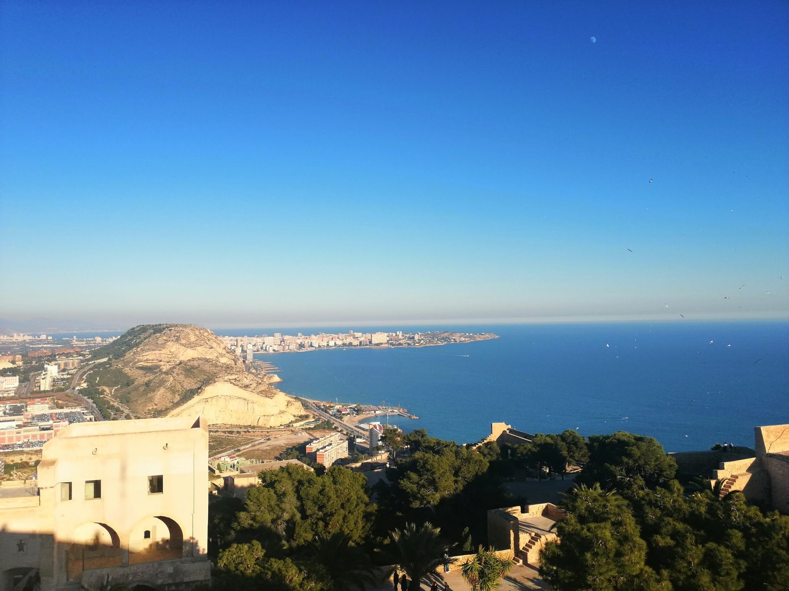 Alicante with children