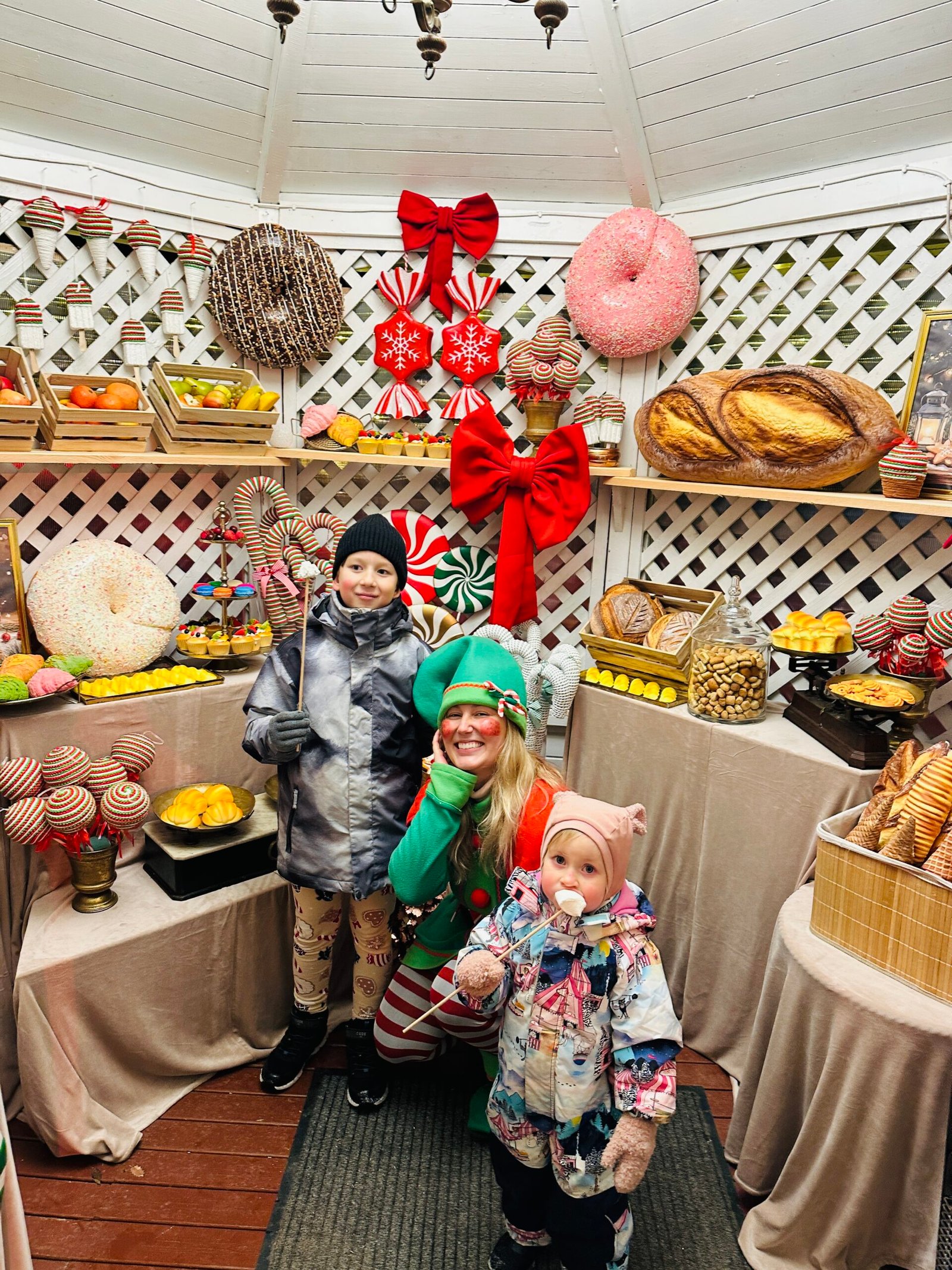 Christmas park at Krikštėnai Manor