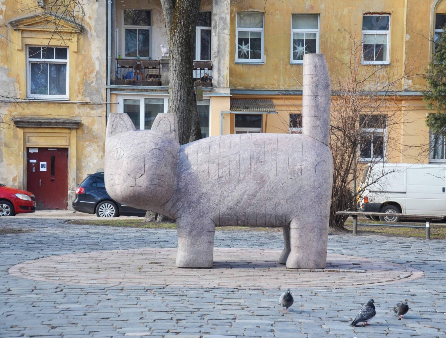 The cat in Vilnius