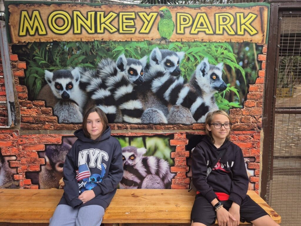 Contact zoo in Tenerife with children