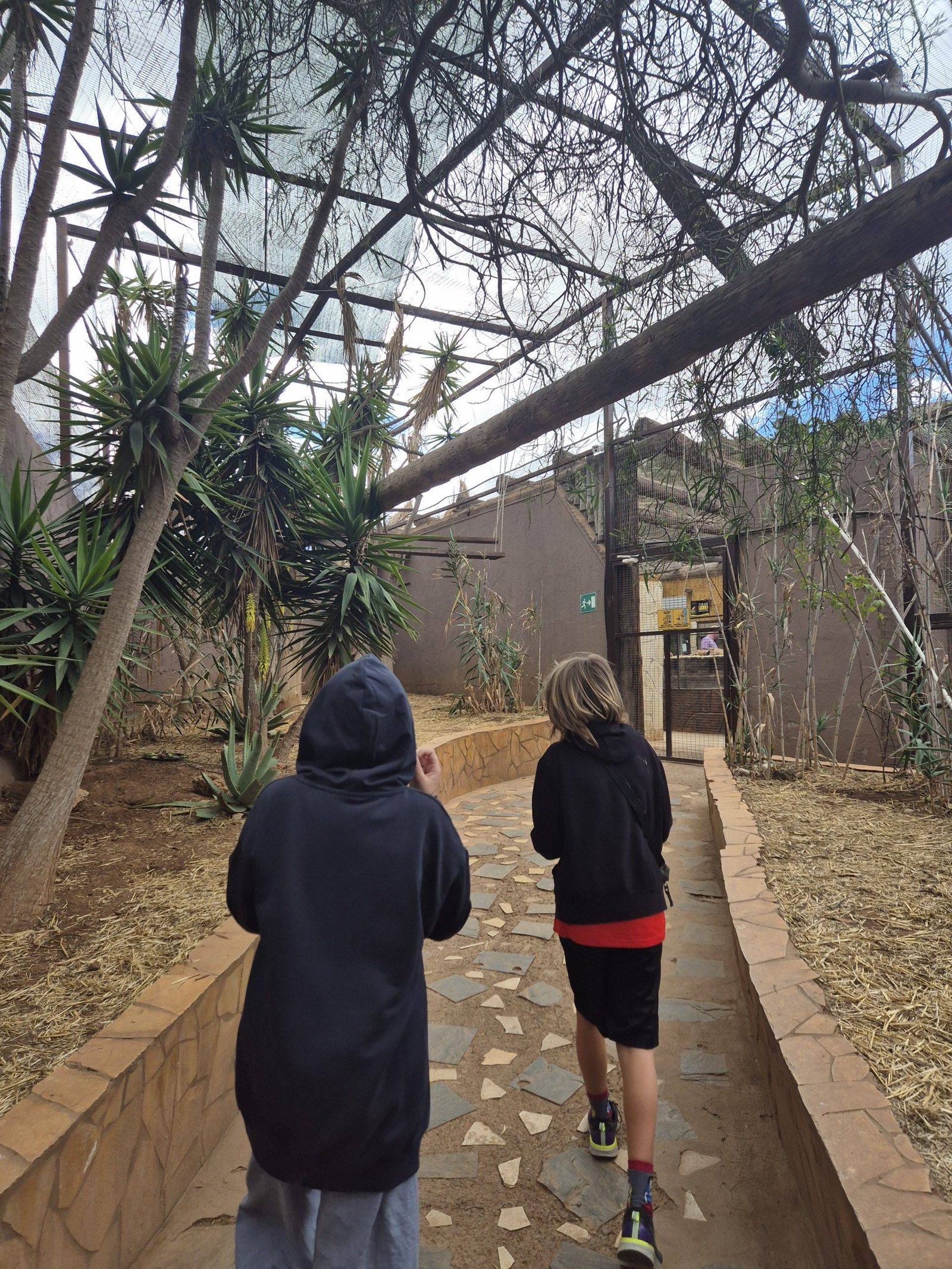 Animal encounter zoo in Tenerife with children